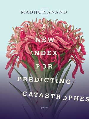 cover image of A New Index for Predicting Catastrophes